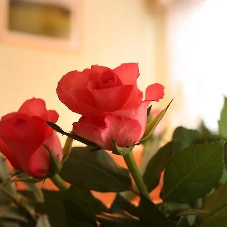 Hertigswalde Sebnitz