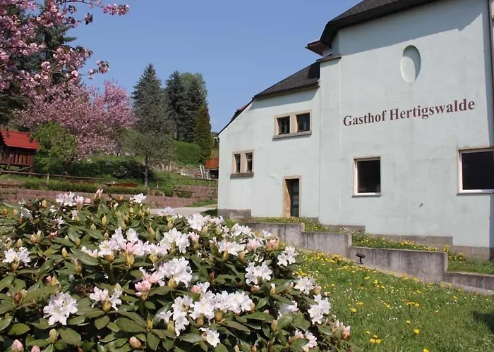 Hertigswalde Pensionat 3*